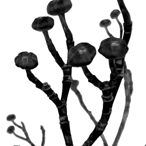 Twig & Ink