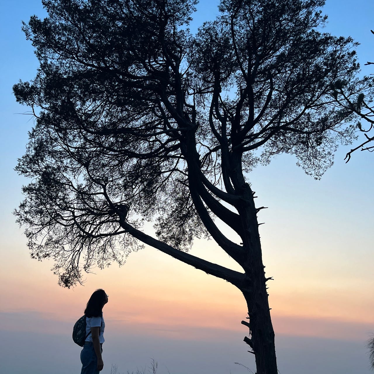 The Sound Of Violence 