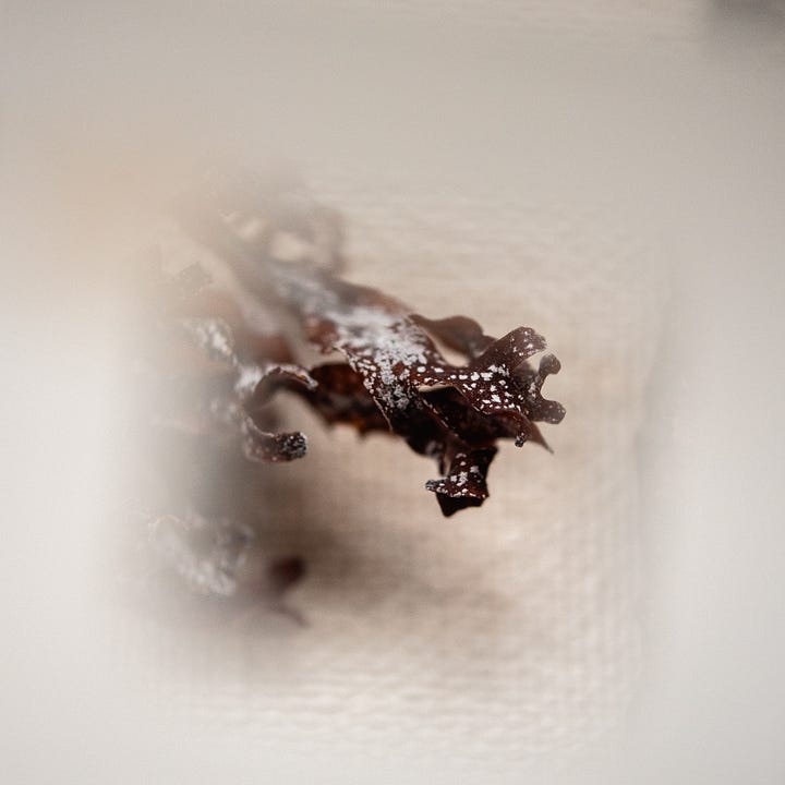 analogue zoom photography nature