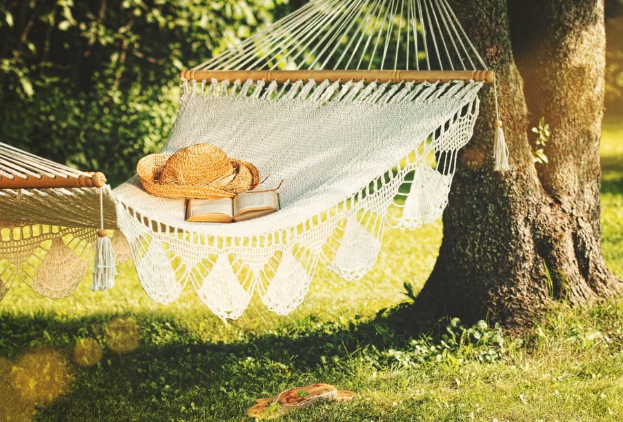 Summer reading in a hammock