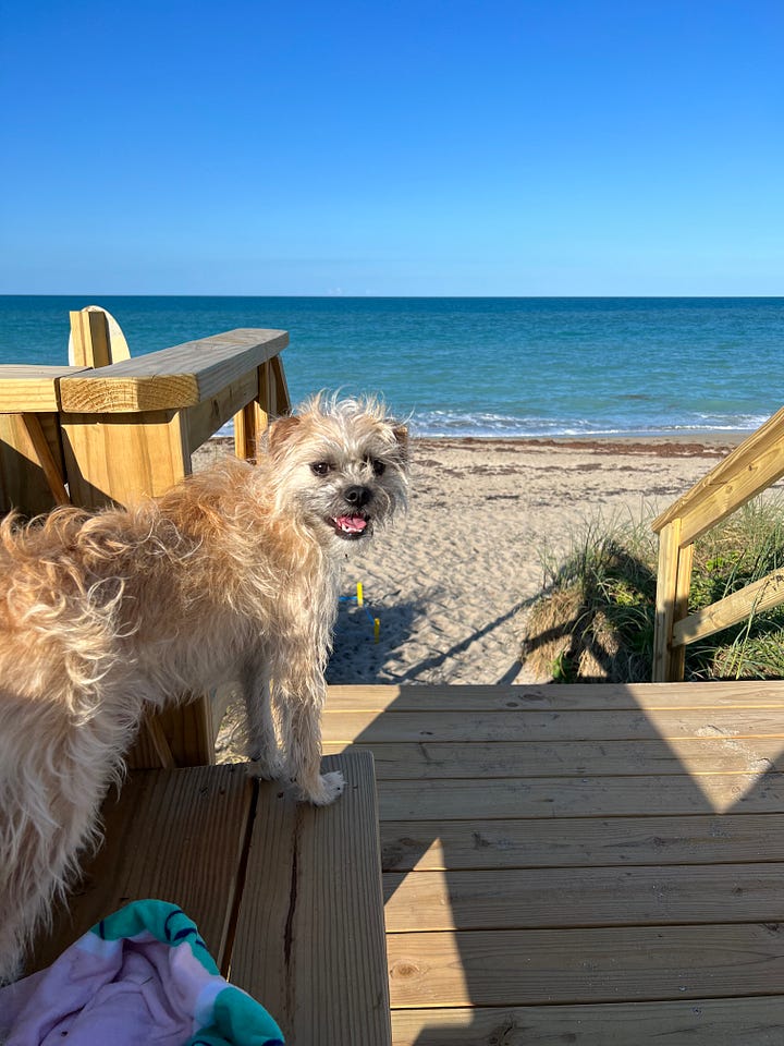 Hutchinson Island, Stuart Florida