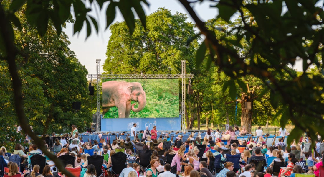 A cinema screen with people sitting in front of it and trees around it