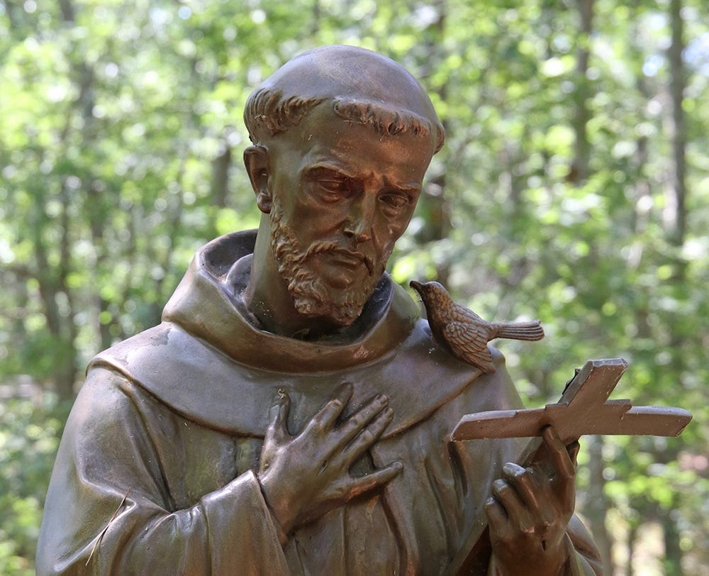St. Francis of Assisi • Saint stories - Teaching Catholic Kids