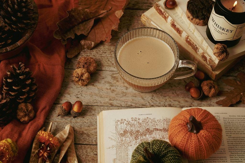 The Art of Autumn Homemaking: Rooted Colours for a Season of Stillness The Art of Autumn Homemaking: Rooted Colours for a Season of Stillness