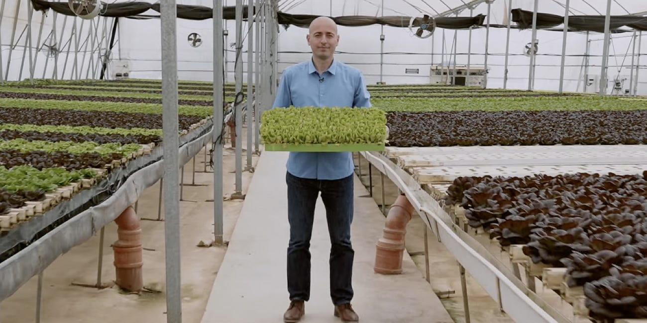 AI and Indoor Vertical Farming