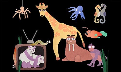 Animales de papel
