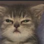 Rosey's avatar