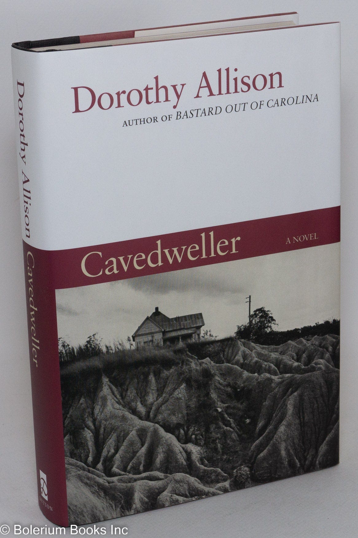 Cavedweller: a novel by Dorothy Allison on Bolerium Books