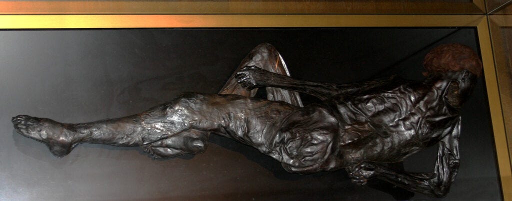 Grauballe Man bog body on display at Moesgaard Museum, Denmark