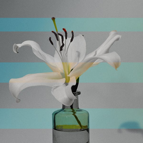 From the Faraway Nearby