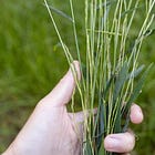 We need to change to conversation