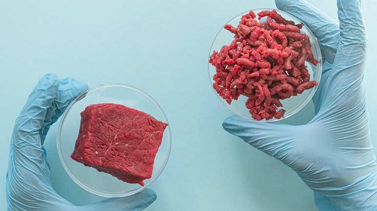 lab grown meat
