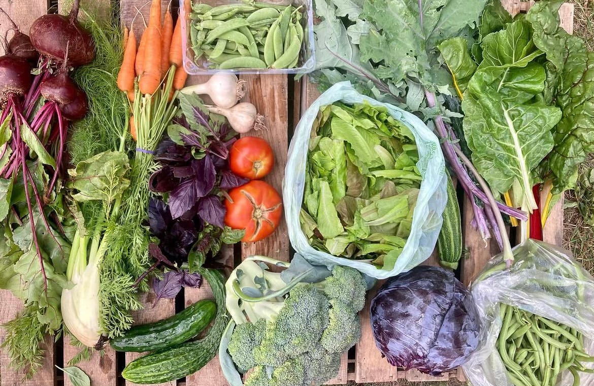 photo of all the vegetables from the CSA