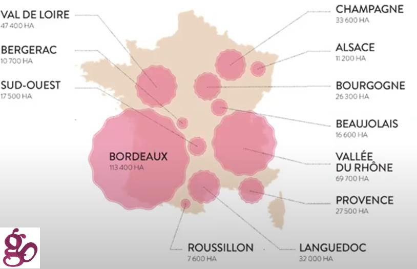 A map of france with pink circles
AI-generated content may be incorrect. A map of france with pink circles
AI-generated content may be incorrect.