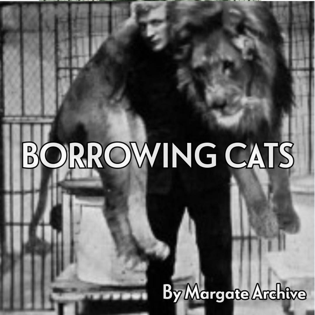 Borrowing Cats