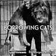 Borrowing Cats