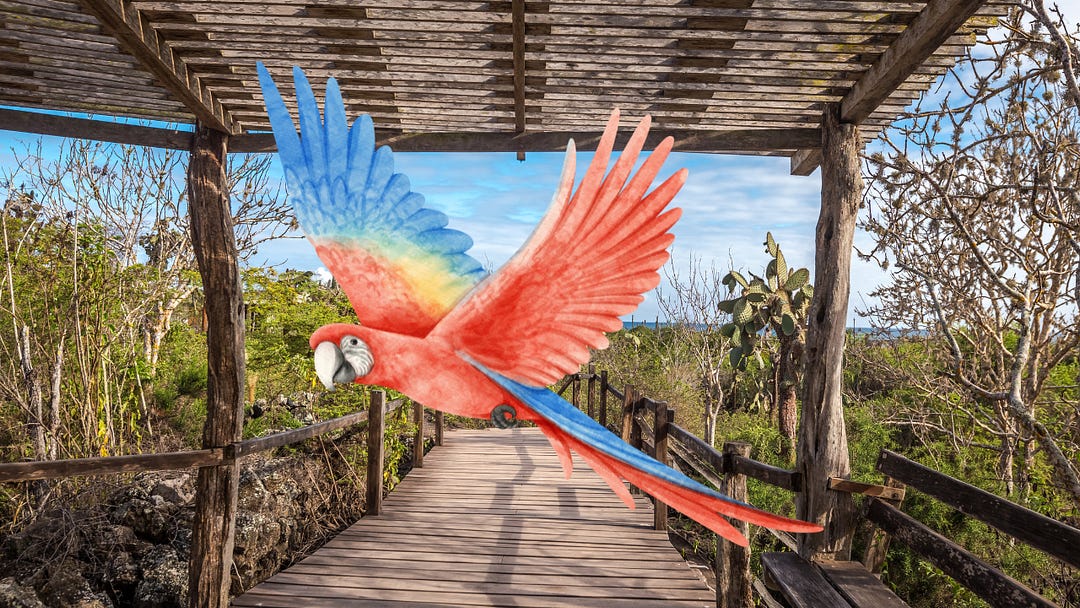 A digitally edited image of a wooden boardwalk in a dry tropical environment, possibly on an island, now featuring a large, illustrated scarlet macaw in flight. The colorful parrot, with red, blue, and yellow feathers, contrasts vividly against the earthy tones of the boardwalk and the surrounding vegetation. The scene evokes a blend of natural beauty and artistic whimsy, suggesting themes of biodiversity and island ecology