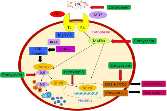 Fig 4