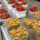 The September Outline: Best of the month