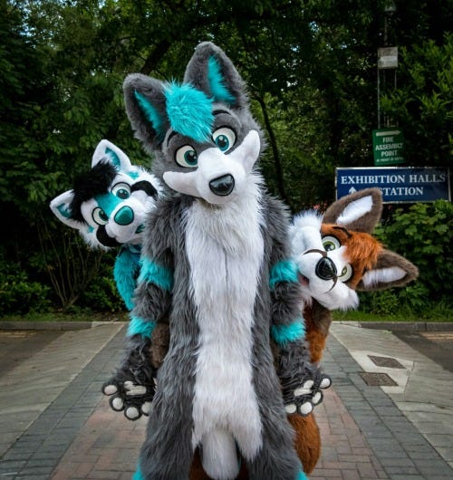 An image of people in fursuits