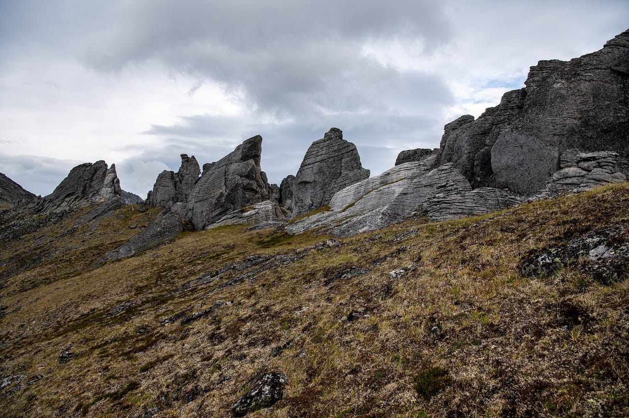 A row of weathered granite tors — blocky, fractured pinnacles and fins — rises along the crest of a tundra ridge, the grassy slope tilting up to meet them under a heavy grey overcast sky.
