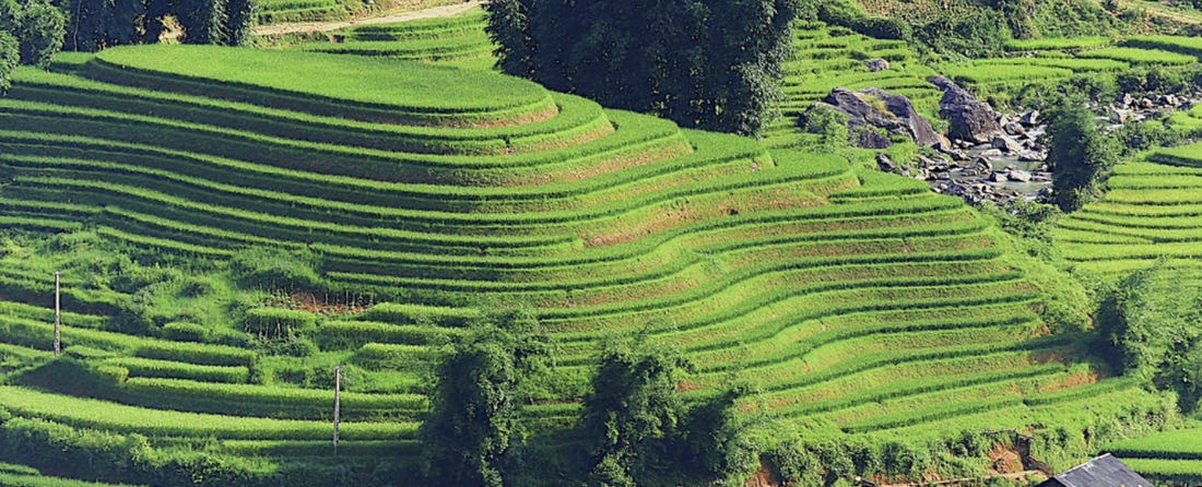 Pasted Graphic 10.png