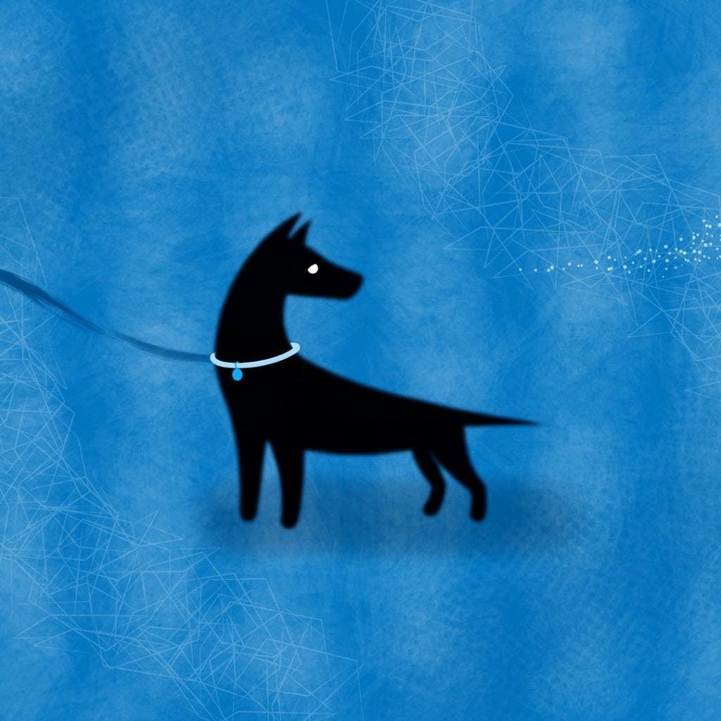 13721084_1646361442357620_1750322818_n