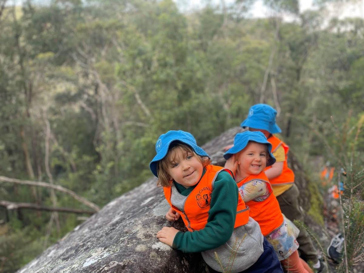 in the bush near carinya pre school in the bush near carinya pre school