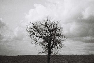 Joshua Luke Smith | Substack