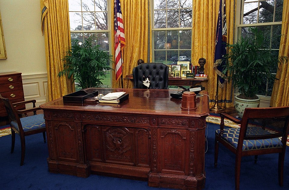 File:Photograph of Socks the Cat Sitting Behind the President's Desk in the Oval Office- 01-07-1994 (6461515323).jpg