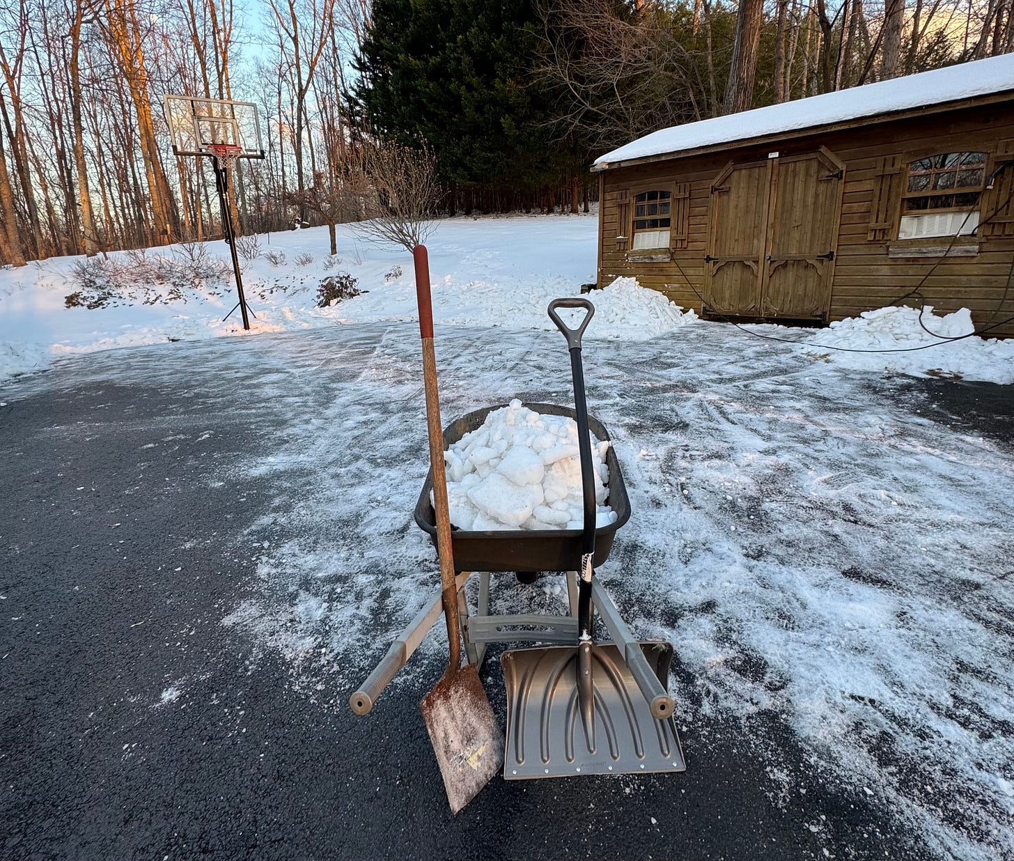 In the foreground is a wheelbarrow full of snow with the metal garden shovel and the large snow shovel leaning against it. Behind is a driveway cleared of the thick blanket of snow-ice, but with a sheath of ice remaining.
