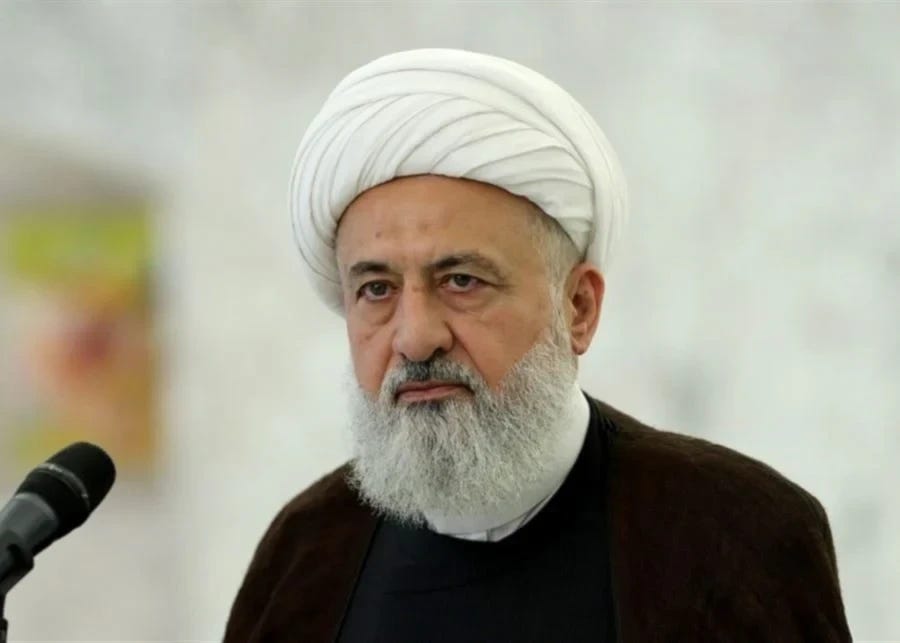 Exclusive: Top Shiite Cleric urges state to defend South Lebanon