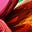 Sound of Reason's avatar