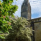 103. Cathedral Azarole