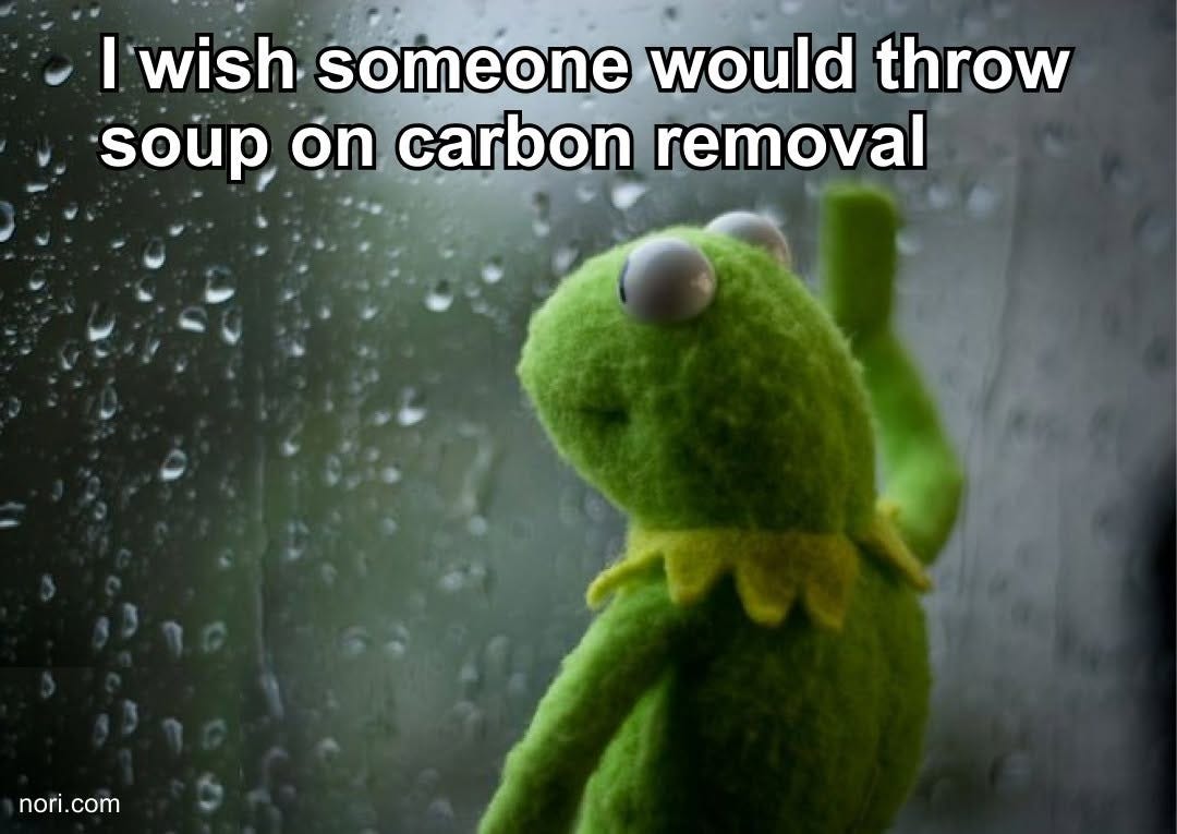 Kermit the Frog looking wistfully out of a rain-streaked window, captioned "I wish someone would throw soup on carbon removal".