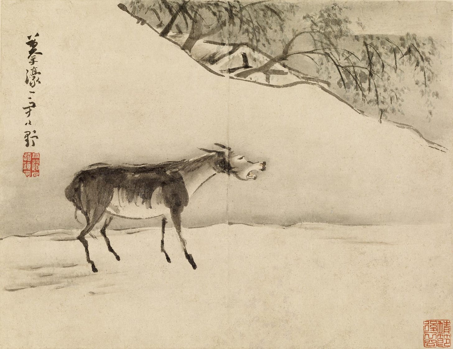 Image for Braying Donkey
