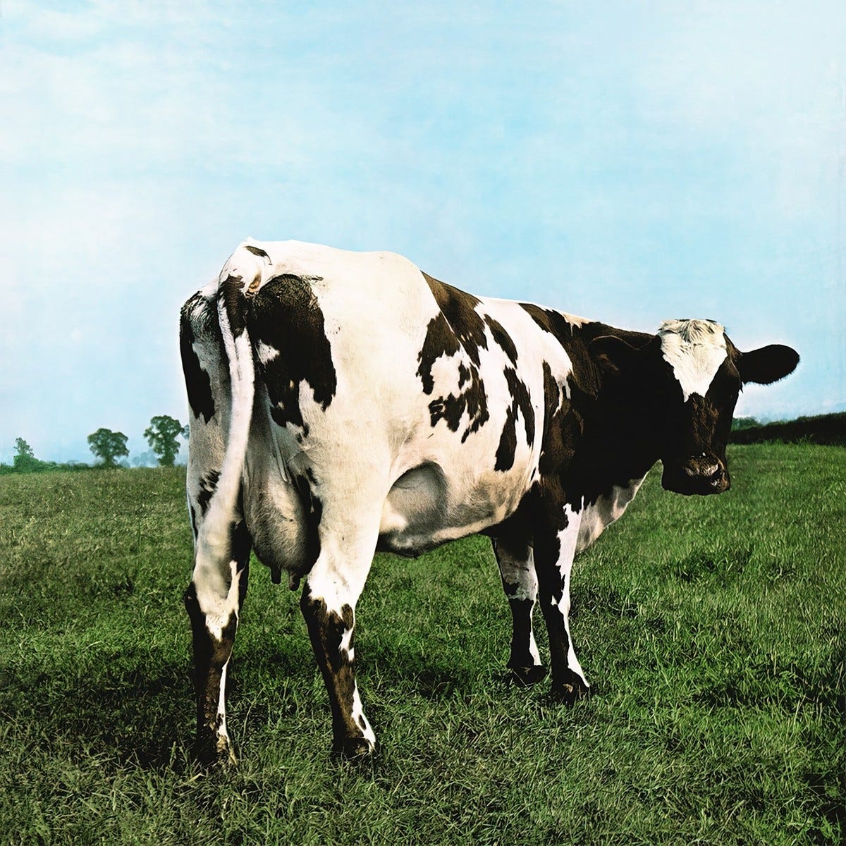 Pink Floyd Atom Heart Mother 12x12 Album Cover Replica Poster