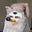 cats's avatar