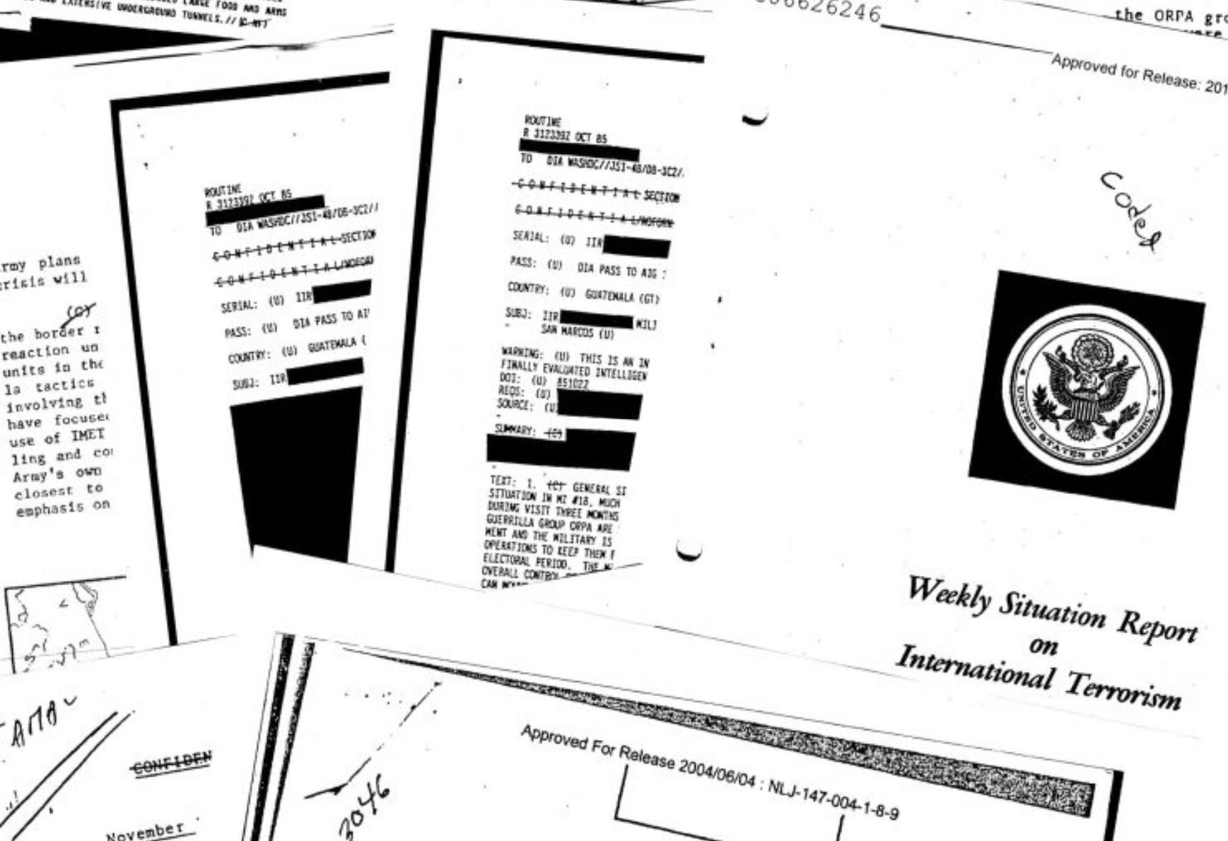 Bomen & Bos Substack