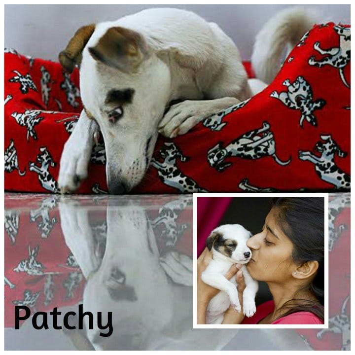 collage_20150304233452203_20150304233706928 collage_20150304233452203_20150304233706928