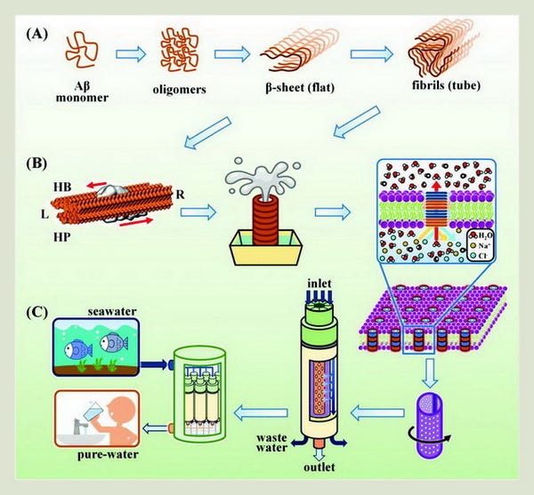 Amyloid for Seawater Desalination