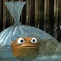 Now What?'s avatar