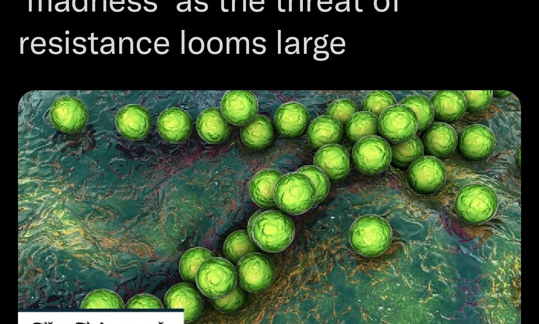 Strep A in the UK, a mess of public health messaging 
