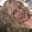 Lisa D's avatar