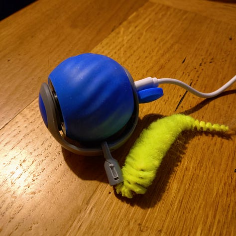 L-R A circular cat scratchy thing, a long thin scratchy thing, a rechargeable self-moving toy