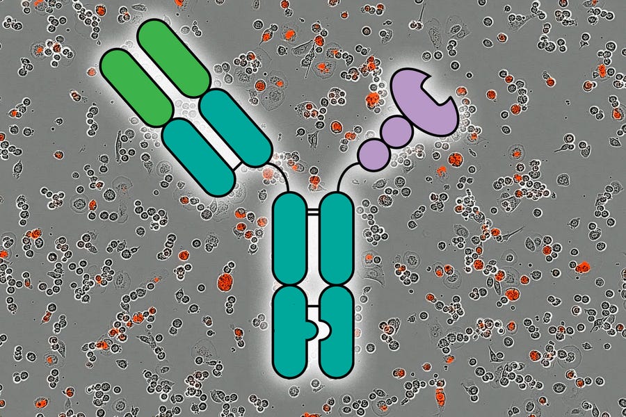 Who Actually Benefits from Cancer Treatment?