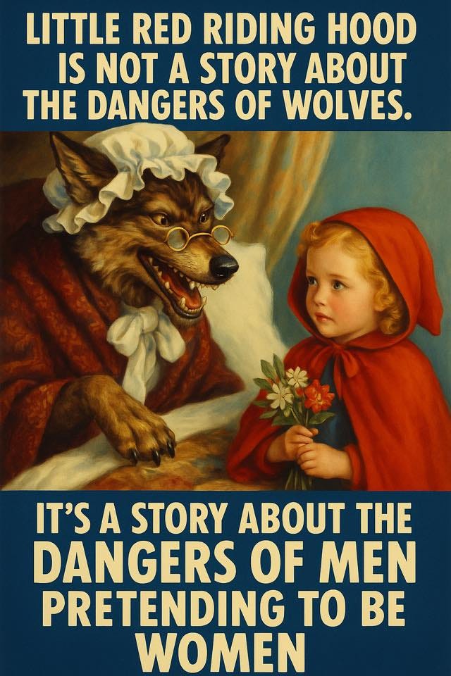 May be an image of 1 person and text that says "LITTLE RED RIDING HOOD IS NOT A STORY ABOUT TE DANGERS OF WOLVES. IT'S A STORY ABOUT THE DANGERS OF MEN PRETENDING to BE WOMEN"