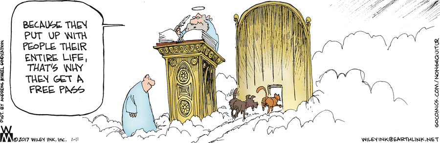 Non Sequitur by Wiley Miller for January 11, 2017 | GoComics.com | Non  sequitur, Laughter the best medicine, Funny comics