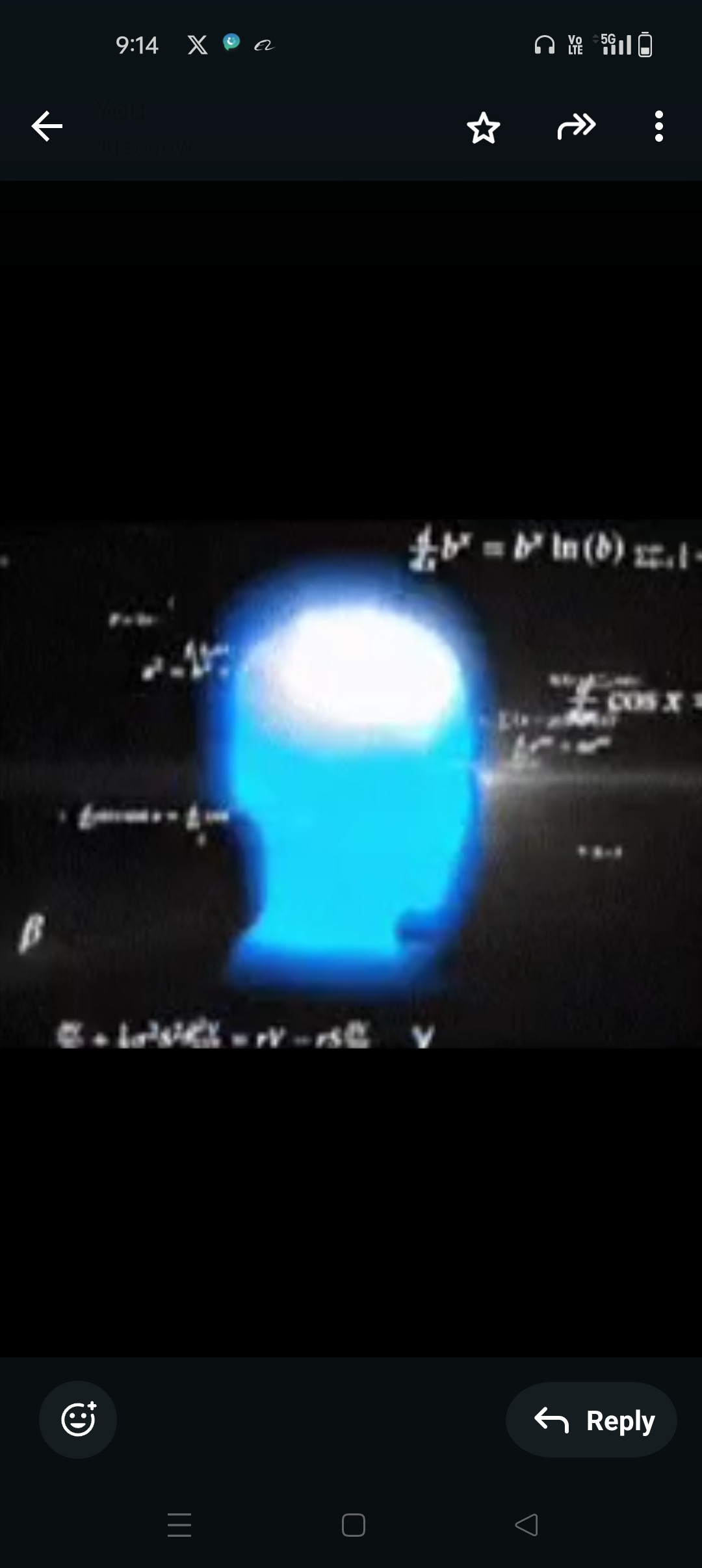 peace life peace mind rules