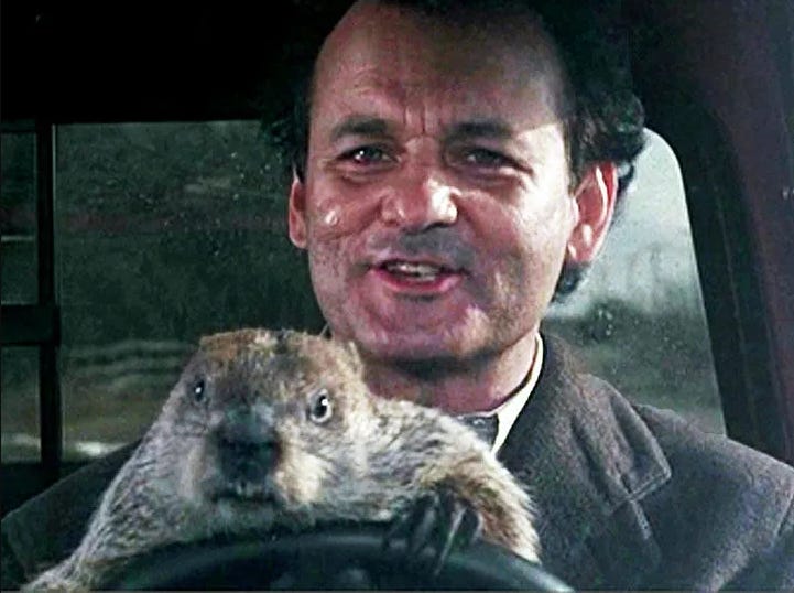 Bill Murray and a groundhog behind the wheel of a car in the movie Groundhog Day. Bill Murray and a groundhog behind the wheel of a car in the movie Groundhog Day.